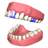Teeth in 3D - Cult3D